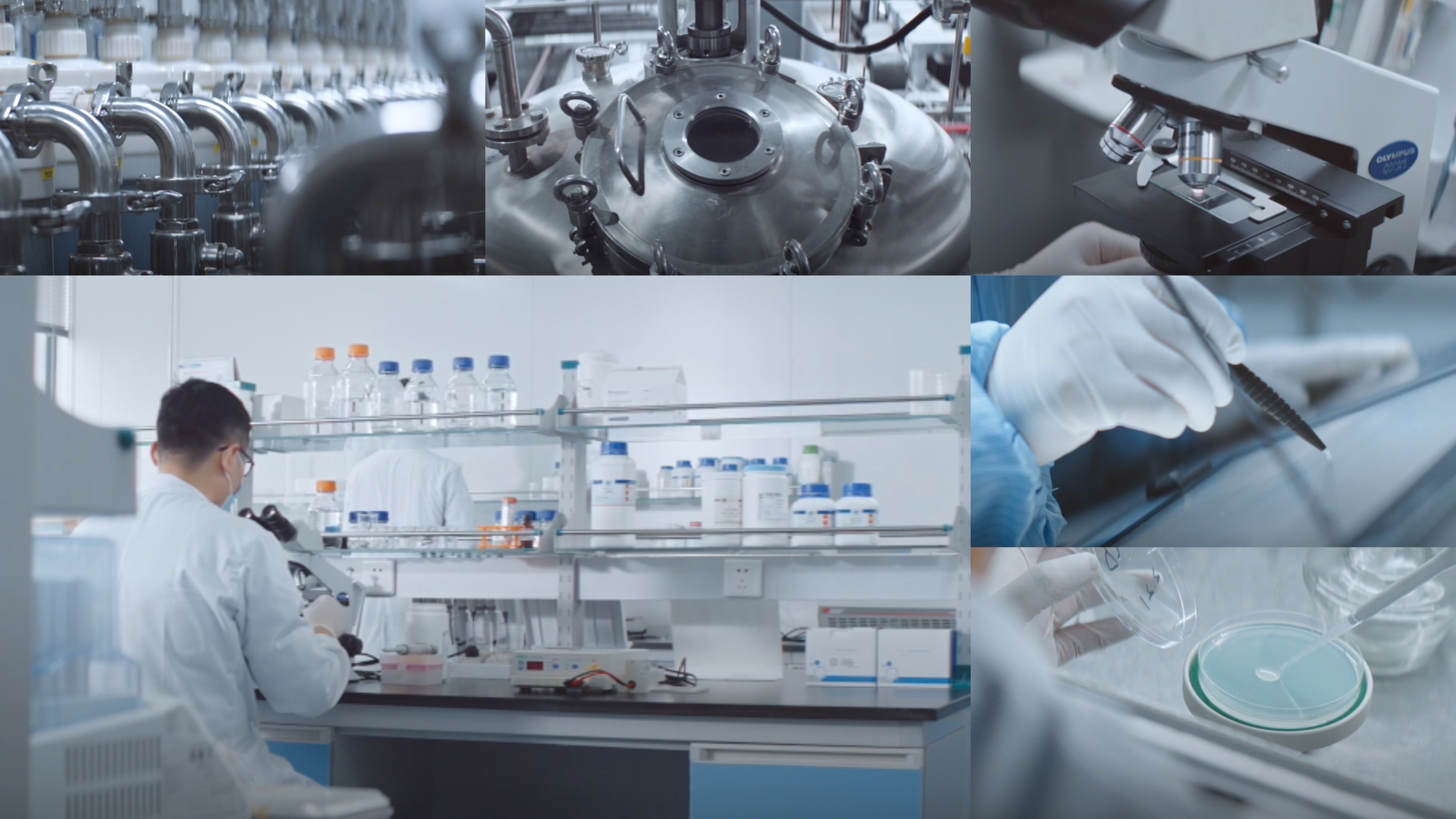 江苏人生就是博|生物医药|重组胶原蛋白|unicollagen