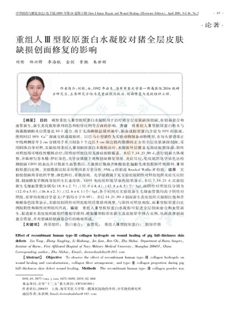 2019 动物研究，重组人Ⅲ型胶原蛋白水凝胶对猪全层皮肤缺损创面修复的影响
